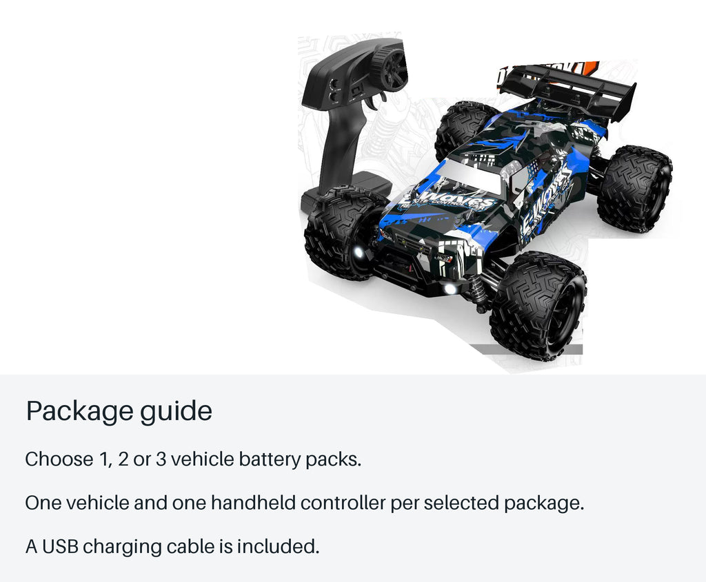 Blue Lightning 1:14 4WD RC Buggy - package guide from source-backed facts