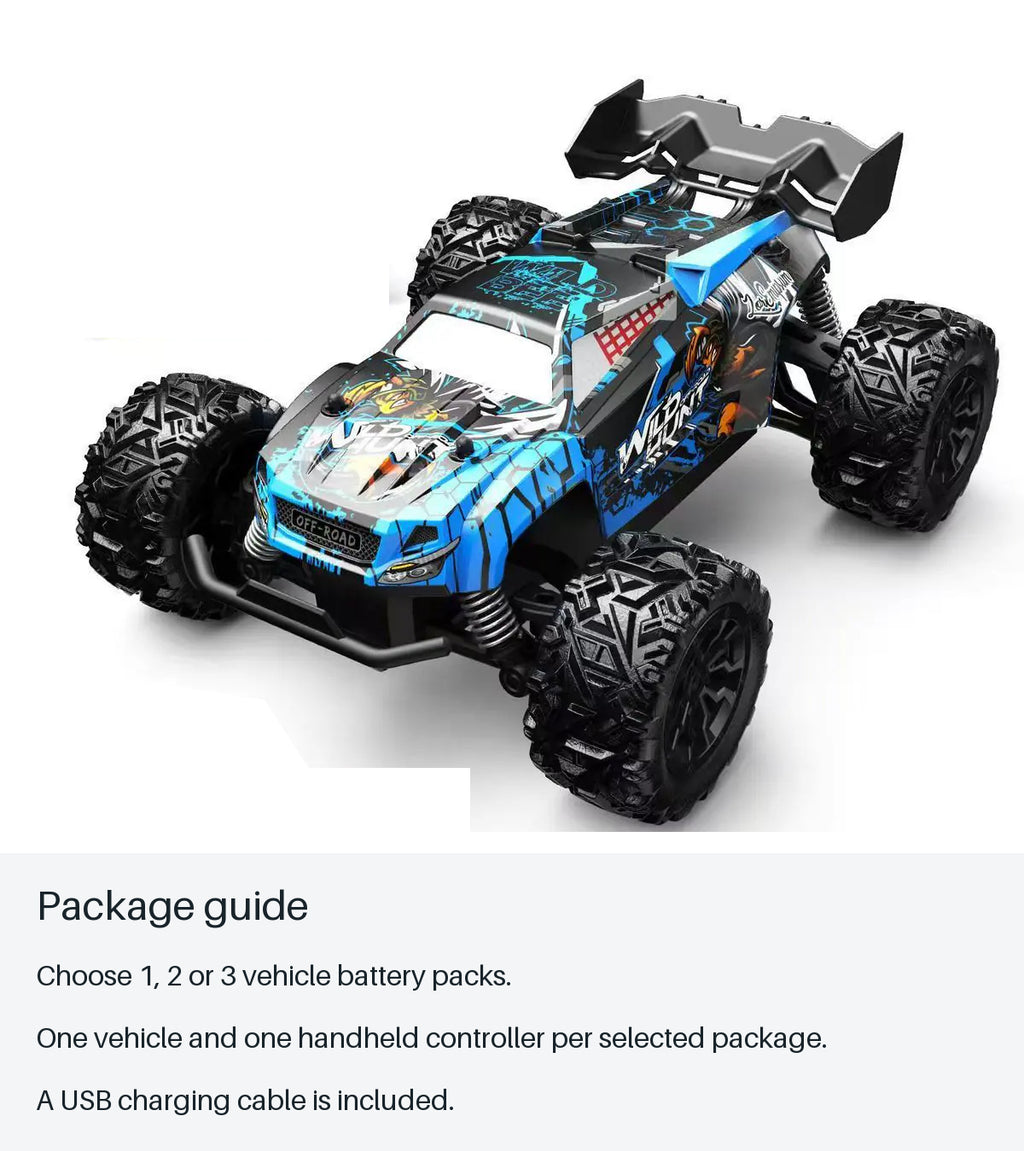 WILD HUNT 1:20 RC Buggy - package guide from source-backed facts